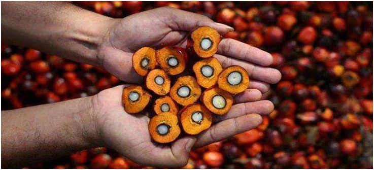 oil2副本 oil2副本