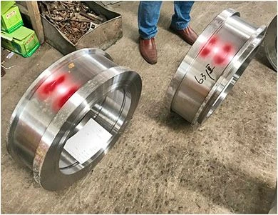 Ring Die Mold Matrix